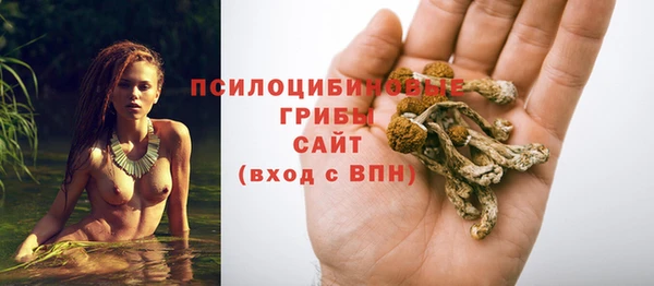 молекула духа Краснослободск