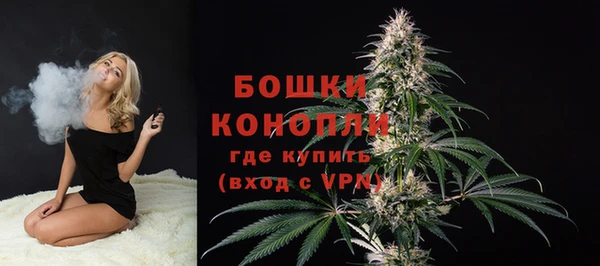 молекула духа Краснослободск