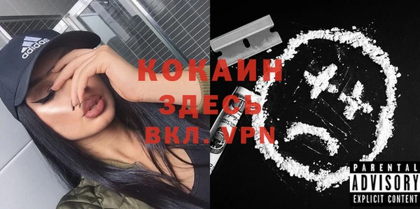молекула духа Краснослободск