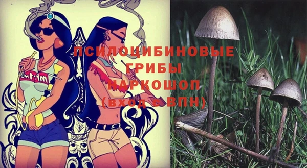 молекула духа Краснослободск
