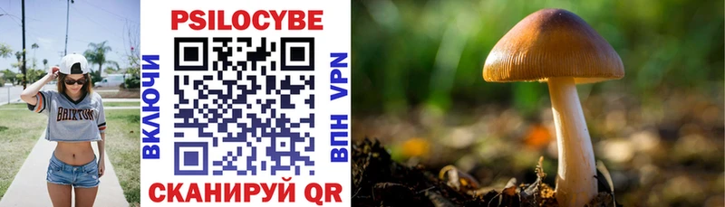 Купить где  Магас  Псилоцибиновые грибы мухоморы 